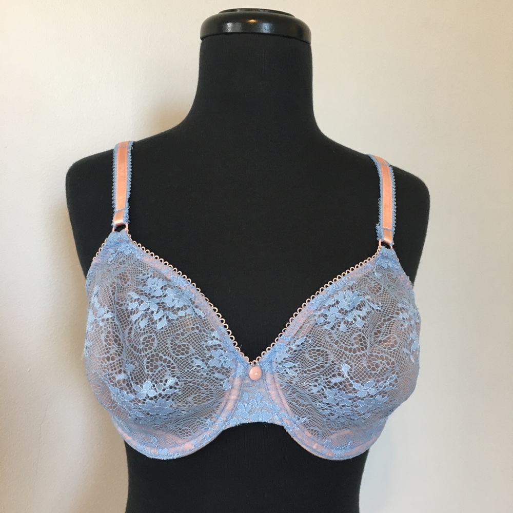 Whimsy Blue Sheer Lace Bra, 36D